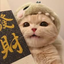 Ảnh đại diện của Thanh Mai