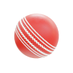 Biểu tượng Cricket Ball